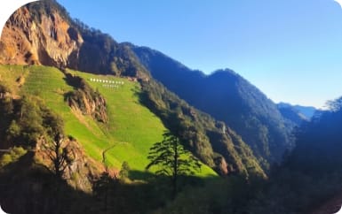 土地整治、生态修复与地灾防治、 自然尊龙凯时置业