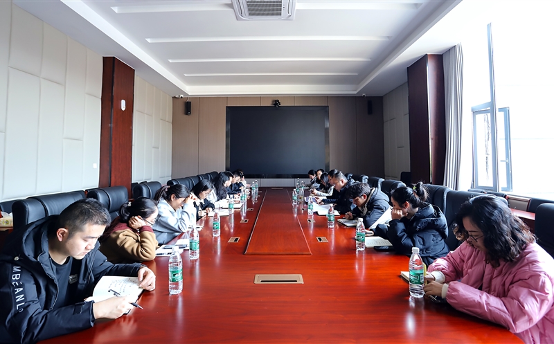 攀西公司召开财务工作例会暨年度决算部署会