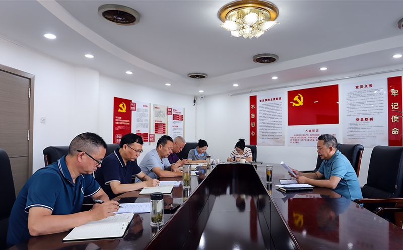 攀西公司党委传达学习集团党代会精神 部署落实举措