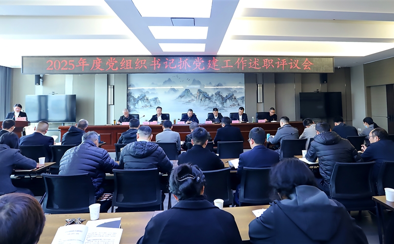 攀西公司召开2025年度党组织书记抓党建工作述职评议会
