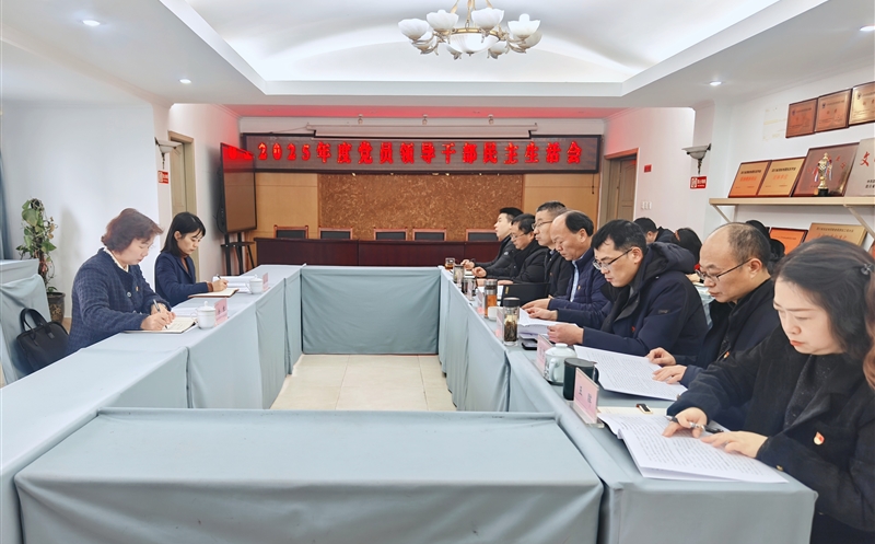 严肃认真查摆问题 凝心聚力共谋发展—测绘公司党委召开2025年度党员领导干部民主生活会