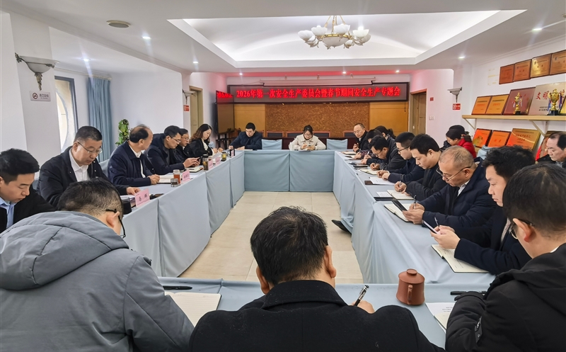 严守安全防线，，，，，，，平安喜迎新年——测绘公司召开2026年第一次安委会暨春节期间安全生产专题会