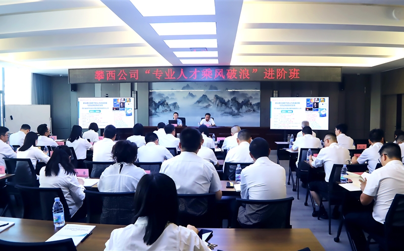 攀西公司专业人才“乘风破浪进阶班” 专题培训圆满举行