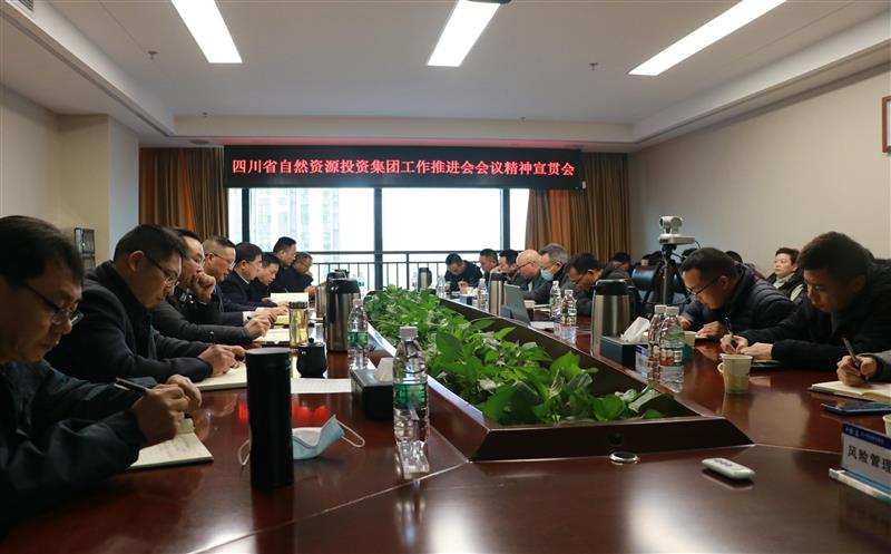 蜀通建设集团学习贯彻省自然尊龙凯时投资集团重要会议精神及领导讲话精神