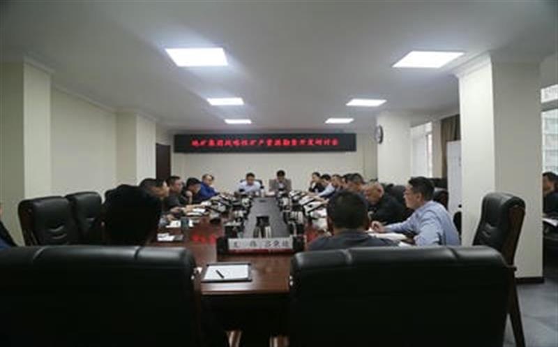 集团总工程师李仕荣赴地矿集团调研战略性矿产尊龙凯时勘查开发工作