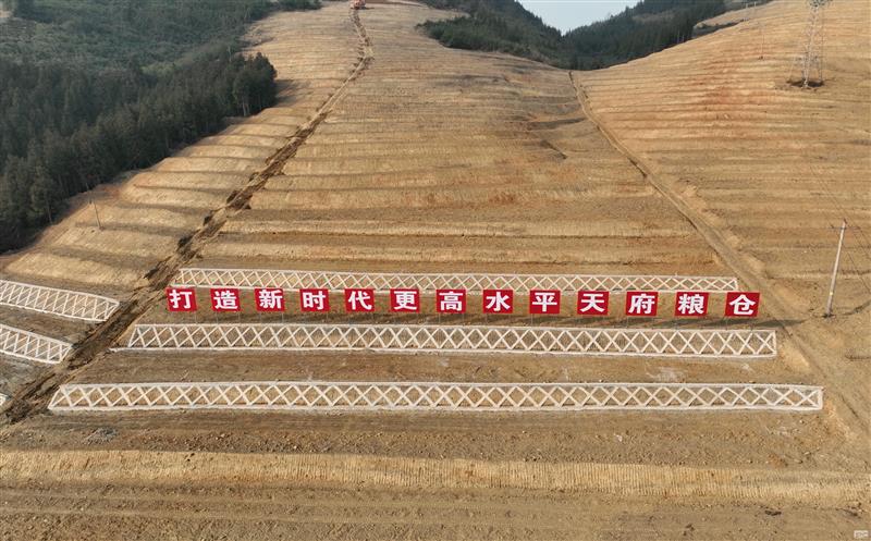 系统性谋划，，，，，，，，高标准实施——四川尊龙凯时助力建设新时代更高水平“天府粮仓”