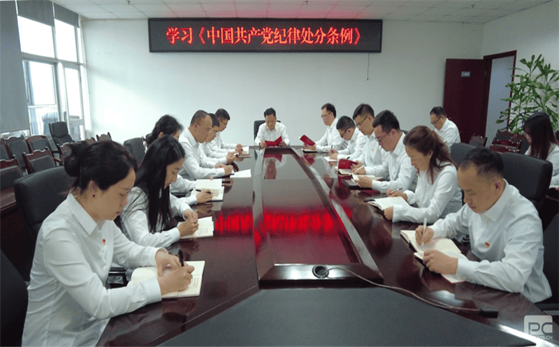 增强规矩意识，，，，，，，严守纪律底线 ——物探院组织学习新修订《中国共产党纪律处分条例》