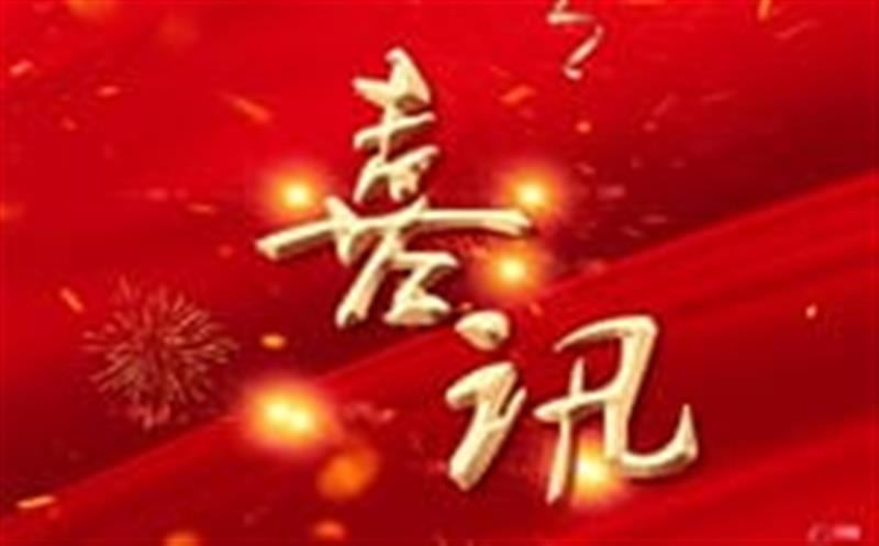七个标，，，，，，，总计超4000万！——区调队（容大集团）中标2024年度地质灾害综合治理项目