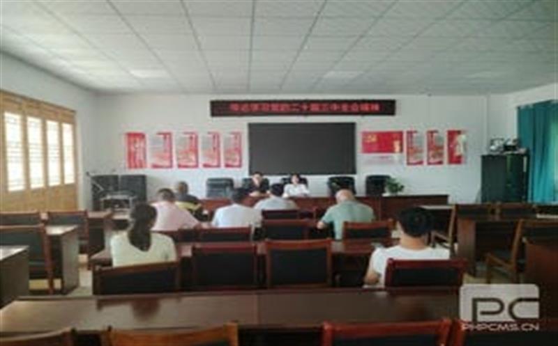 学习党的二十届三中全会精神，，，，，华锋钻探助力乡村振兴新征程