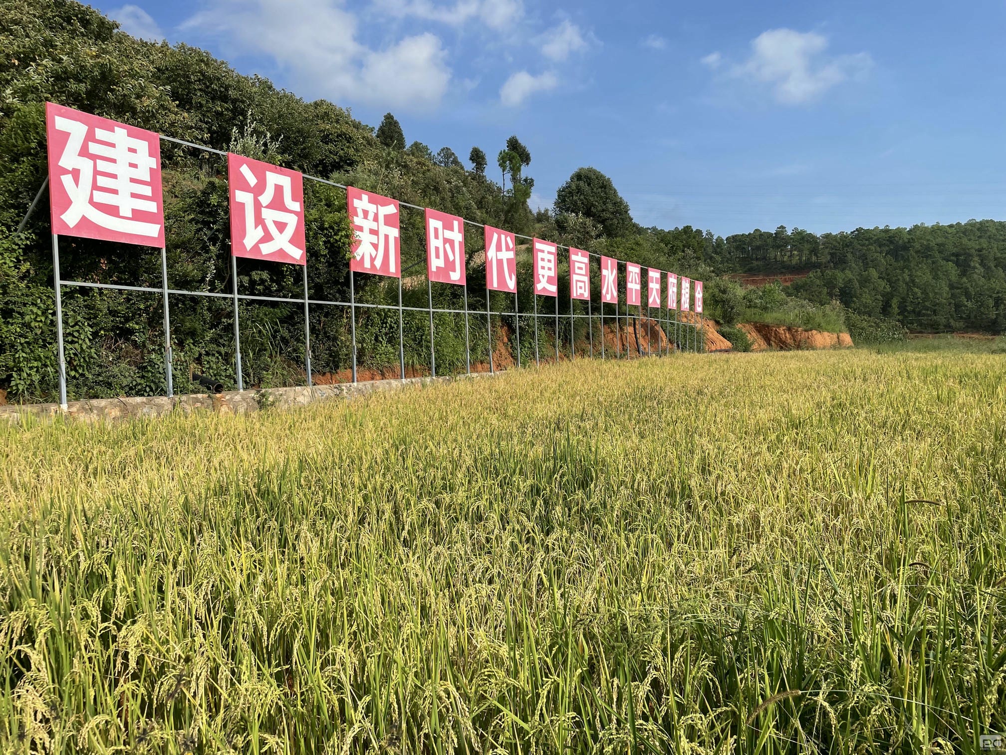 人生就是博·(中国) - 官方网站